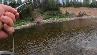 Grand Cascapedia salmon fishing. Awsome take on a dry fly