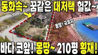 바다 코앞~ 끝 없이 떨어진 A급 횡재~ 전원주택! 몸만 오시면 됩니다~ 210평 앞으로 몽땅 국유지~ 돈 많이 들어간 주택을 초헐값에~