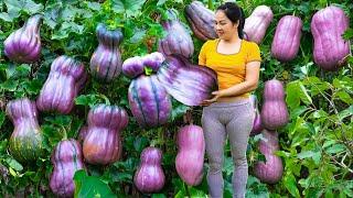 Harvesting the Devil's Purple Gourd & Go to Market Sell | vegetable garden harvesting video