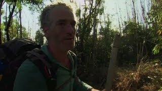 Presenter Gordon Buchanan is trapped by a forest fire - Wild Burma: Nature's Lost Kingdom - BBC