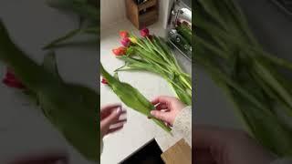 How to Make Your Tulips Last Longer for Spring  #howto #tulips #flowers #spring #homedecor #shorts