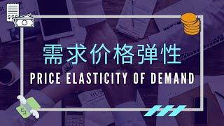 【经济学课程】 第六课 || Elasticity of Demand 需求的弹性