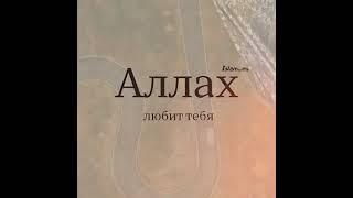 Всевышний Аллах любит тебя!