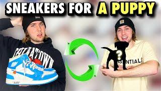 I TRADED SNEAKERS FOR A PUPPY!?!