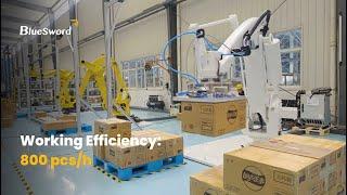 Vision-Based Robotic Palletizer/Depalletizer - BlueSword