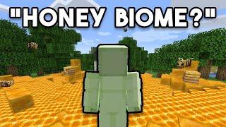 Minecraft but there's SECRET BIOMES