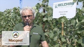 Belchim - diserbante #Enovitis in campo 2017