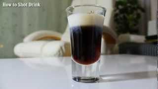 HOW TO MAKE a Sheridan`s Shot Drink - Bartender Basic`s