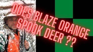 Adirondack Buck Tracker;  The blaze orange debate, do deer see orange?