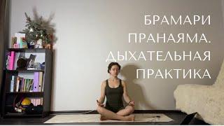Дыхательная практика Брамари Пранаяма (жужжание пчелы).