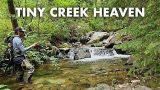 Fishing a Picture-Perfect Tiny Creek for Rare Trout! (Tenkara Fly Fishing)