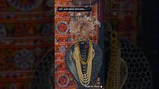 Goga Maharaj song Lal paghdi vada goga maharaj #goga #gamansanthal #stetus #stetusvideo #gujarati