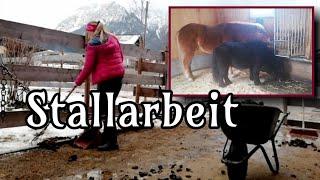 FMA - Stallarbeit  Winter im eigenen Offenstall | ein Tag am Stall | wir haben die Zeit mitgestoppt