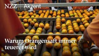 Warum Orangensaft immer teurer wird | NZZ Akzent