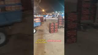 حق العمل کاری میدان تره بار    صادرات. #سیر#خیار#سیب_زمینی#پیاز#گوجه#کاهو#انبه#aliakbarkermani#پیاز