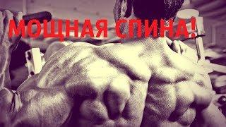 Упражнения для мышц спины!       Back muscle exercises