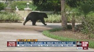 911 calls released in bear attack