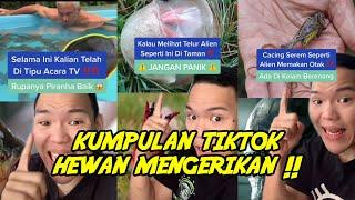 Kumpulan tiktok hewan paling mengerikan ‼️️