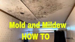 [ How To ] Mold and Mildew Removal In 30 Seconds.