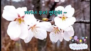 384.벚꽃Amazing grace 펜플릇연주