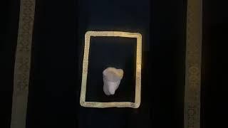 Disney Magic Mirror 03