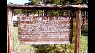 Historical Tour of the Black Forest Colorado