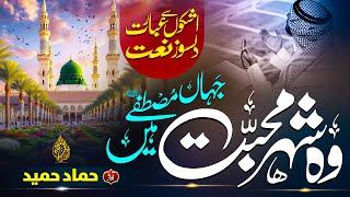 WO SHEHR E MUHBABBAT , NEW KALAM 2K24, Hafiz Hammad Hameed