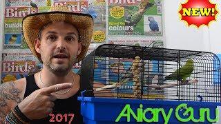 How to transport your PET BIRD home ! (the better way) 2017