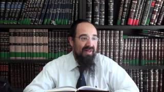 fêtes lag baomer - Mptorah.net Rav Bendrihem