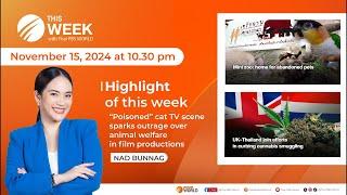 This Week with Thai PBS World 15th November 2024