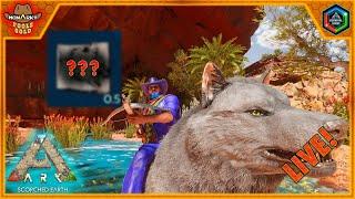 Monarky Season 5 Episode 5 - Let's Play Ark Survival Ascended Scorched Earth Live in 4K!