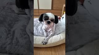 토리야.굿모닝.쌀집가자.                                   모든분들.오늘하루도활기찬.하루보네세요.