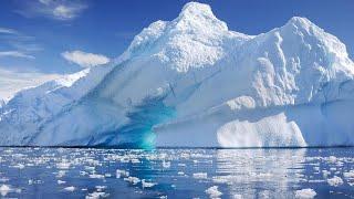 Antarctic and Southern Ocean Coalition