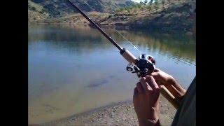 Black bass Fishing