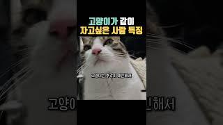 고양이가 같이 자고 싶은 사람 특징 #고양이 #고양이정보 #고양이집사