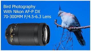 Bird Photography with Nikon AF-P DX 70-300mm F4.5-6.3G ED VR