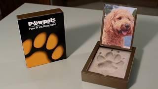 Pawpals Paw Print Casting Kit - Instant and Easy to Use