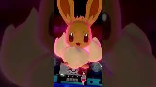 Facts About Eevee You Probably Didn't Know  Pokemon Facts