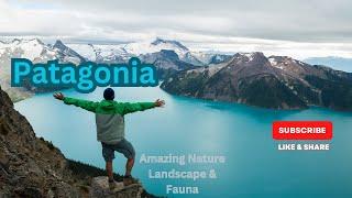 The Secrets of Patagonia - visual travel - beautiful landscapes