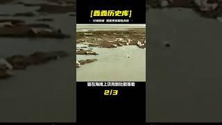1964年，桑給巴爾大屠殺，3萬阿拉伯人遭屠戮，攝影者差點被殺 #歷史 #歷史故事 #中國歷史 #中國 #黃埔軍校