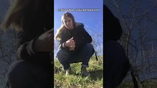 Навыки к 26 годам