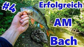 Erfolgreich am Bach - Spinnfischen auf alles was Beißt #4