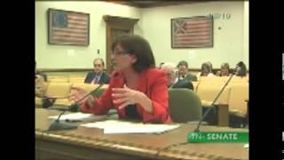 Connie Reguli Apr 2010 on Judicial Accountibility in Tennessee