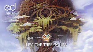 FF9 Iifa the Ancient Tree of Life  Music Remake