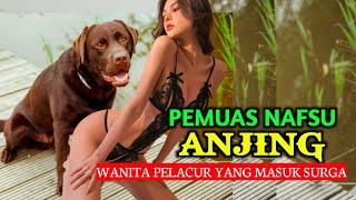 Kisah WANITA PEZINA Masuk SURGA Sesudah Memuaskan NAFSU ANJING