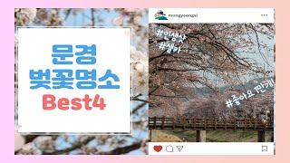 문경 벚꽃명소 best4