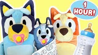 Bluey Baby Toy Episodes!  1 Hour Special!