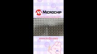 Microchip series DSPIC30F5013  @YouTube Viewers @YouTube    @YouTube Originals @YouTube Creators