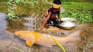 Amazing Hand Fishing Video | Traditional Boy Catching Fish By Hand in Pond Water