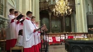 Sicut cervus - Da Palestrina (1525-1594) - Kampen Boys Choir olv Rintje te Wies